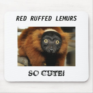 080725-roodruffed-02, RODE RUFFED LEMURS, ZO SNEL! Muismat