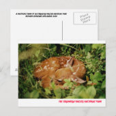 080806-17-APC BRIEFKAART (Voorkant / Achterkant)