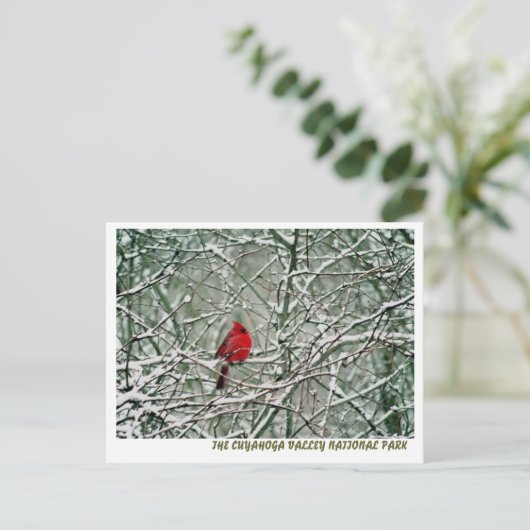 080806-25-APC BRIEFKAART (Staand voorkant)