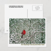 080806-25-APC BRIEFKAART (Voorkant / Achterkant)