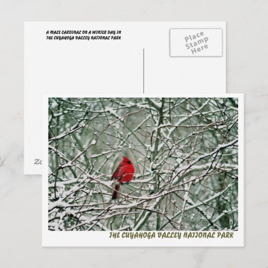 080806-25-APC BRIEFKAART (Voorkant / Achterkant)