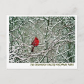 080806-25-APC BRIEFKAART (Voorkant)