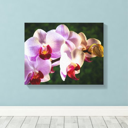0834-Roze Orchideeën Canvas Afdruk (Insitu (Houten vloer))