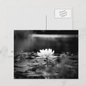 085-reeks1 briefkaart (Voorkant / Achterkant)