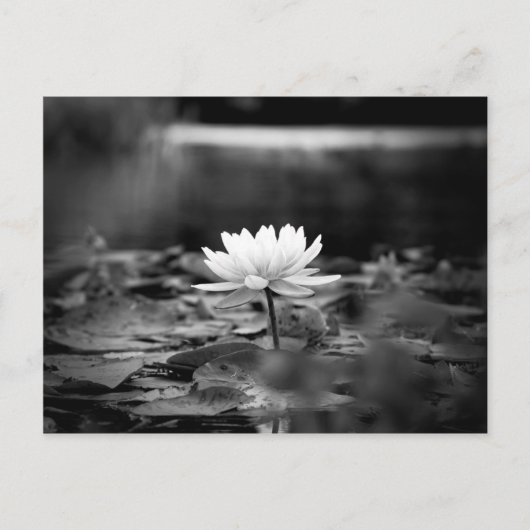 085-reeks1 briefkaart (Voorkant)