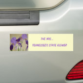 087, DE IRIS..., DE STAATSSTROOM VAN TENNESSEE BUMPERSTICKER (Op auto)