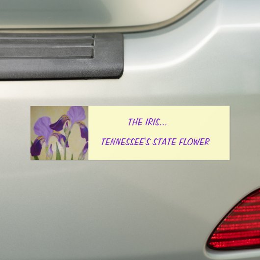 087, DE IRIS..., DE STAATSSTROOM VAN TENNESSEE BUMPERSTICKER (Op auto)