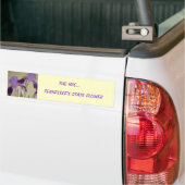 087, DE IRIS..., DE STAATSSTROOM VAN TENNESSEE BUMPERSTICKER (Op Truck)