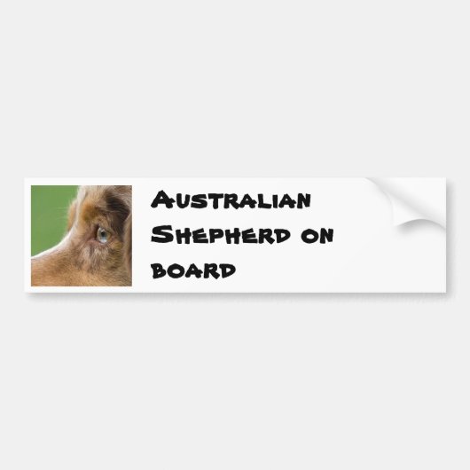08-04-12-114, Australian Shepherd on board Bumpersticker (Voorkant)