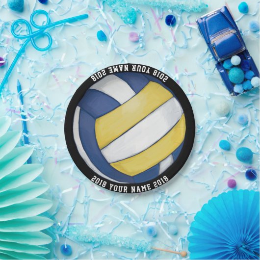 08of12 Volleyball Bord van de Aangepaste Partij (Feest)