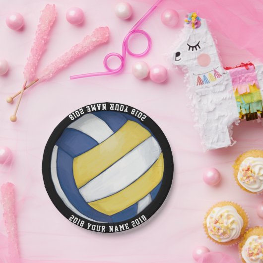 08of12 Volleyball Bord van de Aangepaste Partij (Feest)