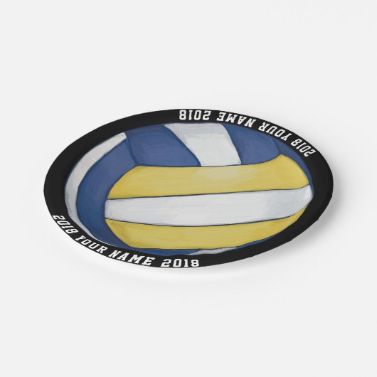 08of12 Volleyball Bord van de Aangepaste Partij (Gekanteld)