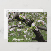 09 Apple Blossom Winchester VA Briefkaart (Voorkant / Achterkant)
