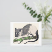 09 * Rat * Ratten-Postkarten * Rat-Postc Briefkaart (Staand voorkant)