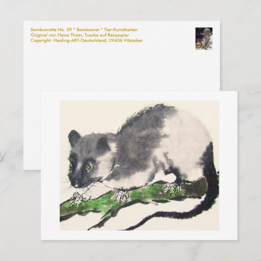 09 * Rat * Ratten-Postkarten * Rat-Postc Briefkaart (Voorkant / Achterkant)