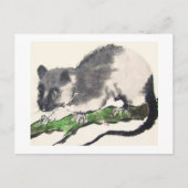 09 * Rat * Ratten-Postkarten * Rat-Postc Briefkaart (Voorkant)