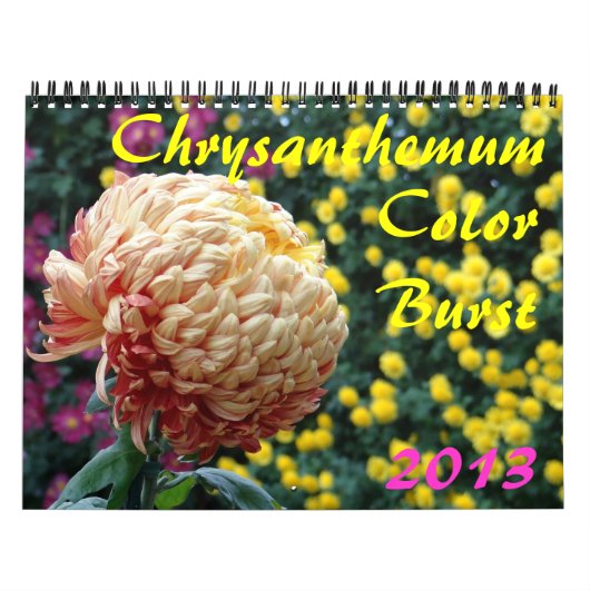 0 2013 Chrysanthemum Colour Burst Kalender (Hoes)