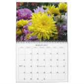 0 2013 Chrysanthemum Colour Burst Kalender (Mar 2027)