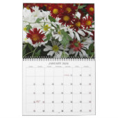 0 2013 Chrysanthemum Colour Burst Kalender (Jan 2026)