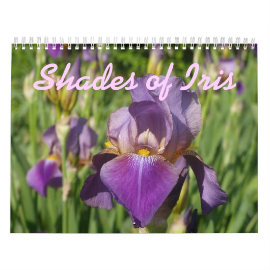 0 2013 Iris-shadden Kalender (Hoes)