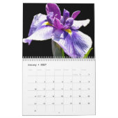 0 2013 Iris-shadden Kalender (Jan 2027)