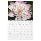 0 2013  volken kalender (Mar 2027)