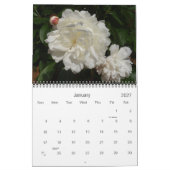 0 2013  volken kalender (Jan 2027)