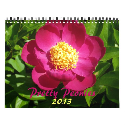 0 2013  volken kalender (Hoes)