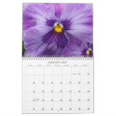 0 2014 Pansies, Pansies Kalender (Jan 2027)