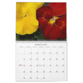 0 2014 Pansies, Pansies Kalender (Mar 2027)