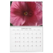 0 2014 Pansies,  Pansies Kalender (Feb 2026)