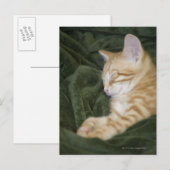 0 2 BRIEFKAART (Voorkant / Achterkant)