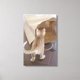 0 2 CANVAS AFDRUK
