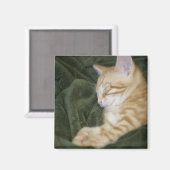 0 2 MAGNEET (Voorkant / Achterkant)