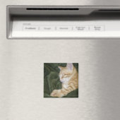 0 2 MAGNEET (Insitu (Vaatwasser))