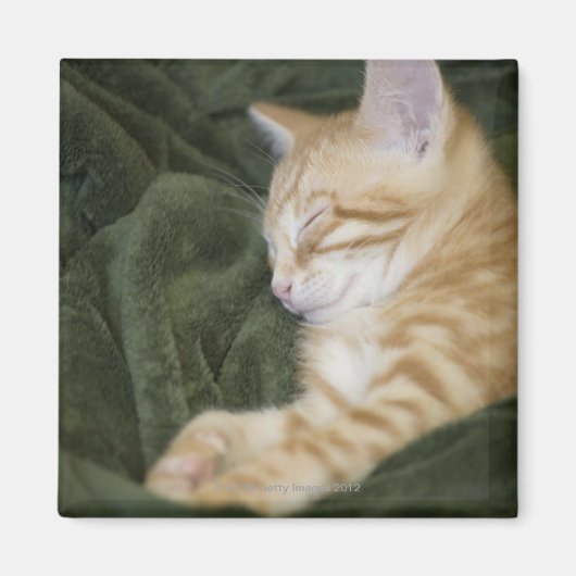 0 2 MAGNEET (Voorkant)