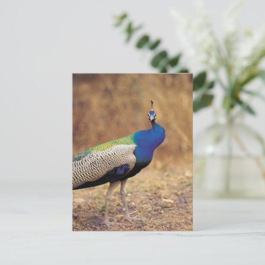 0 3 BRIEFKAART (Staand voorkant)