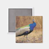 0 3 MAGNEET (Voorkant / Achterkant)