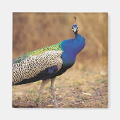 0 3 MAGNEET (Voorkant)