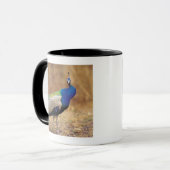 0 3 MOK (Voorkant links)