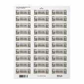 0,75 x 2,25-inch Return Address Label Army OCP Cam (Full Sheet)