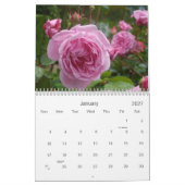 0 Blooming roze tuinen 2012-2013 Kalender (Jan 2027)