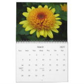 0 Chrysanthemum Art 2013 Kalender (Mar 2027)