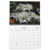 0 Chrysanthemum Art 2013 Kalender (Jan 2027)