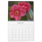 0  en roze 2013 kalender (Jan 2027)