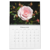 0  en roze 2013 kalender (Feb 2026)