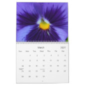0 Pansies,  Pansies 18 maanden Kalender (Mar 2027)