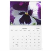 0 Pansies,  Pansies 18 maanden Kalender (Jan 2026)