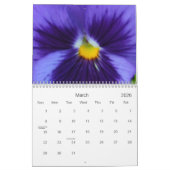 0 Pansies,  Pansies 18 maanden Kalender (Mar 2026)
