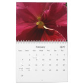 0 Pansies,  Pansies Kalender (Feb 2027)